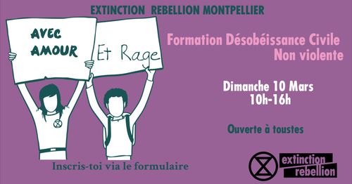 Formation Désobéissance Civile Non Violente par XR Montpellier