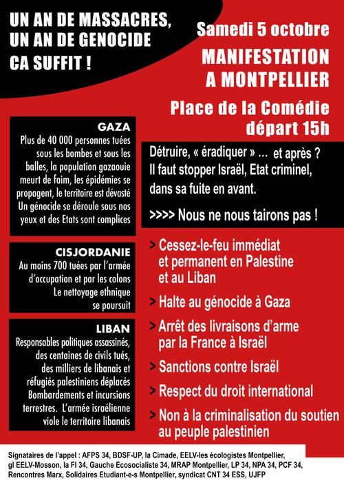 Manifestation pour un cessez-le-feu en Palestine et au Liban