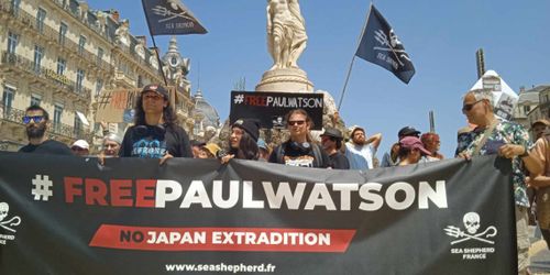 Mobilisation en faveur de Paul Watson