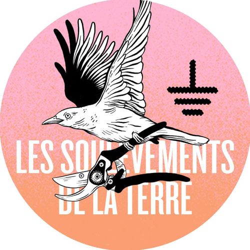 Plénière Comité local des Soulèvements de la Terre