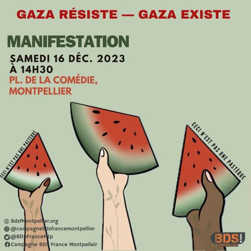 Halte au massacre du peuple palestinien !