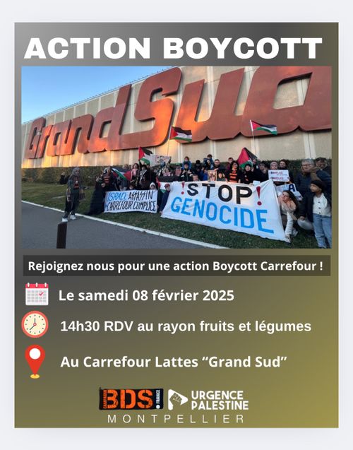 Action non-violente de masse : Boycott Carrefour "Grand Sud" Lattes.