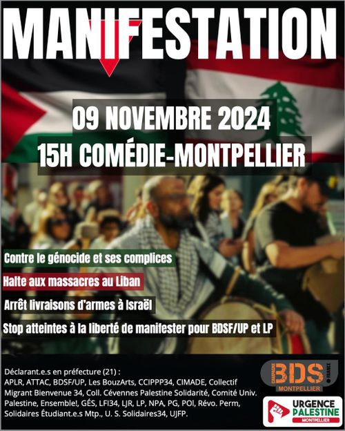 Manifestation en soutien à la Palestine 